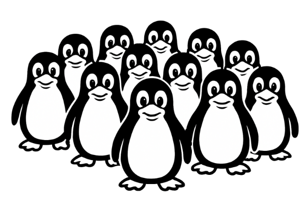 Choosing a Linux Distro: Community-Based or Corporate-Backed?